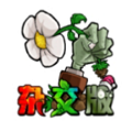 植物大战僵尸杂交版2.4版本